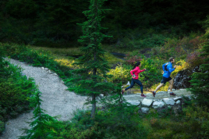 garmin-integra-rutas-de-strava-y-komoot garmin-integra-rutas-de-strava-y-komoot