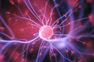 medicina-genetica-principal-fundamento-de-una-estrategia-preventiva medicina-genetica-principal-fundamento-de-una-estrategia-preventiva