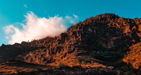 descubre-el-encanto-de-canarias-patrimonio-de-la-humanidad