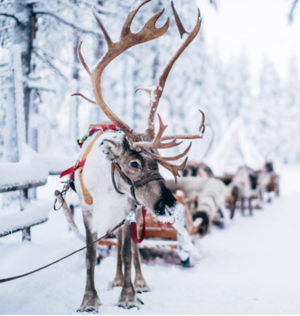 papa-noel-te-espera-en-rovaniemi