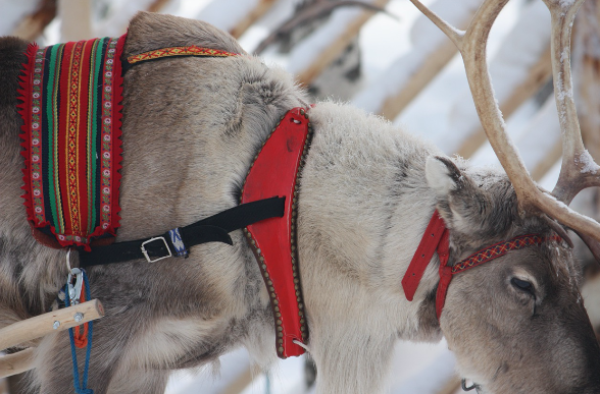 asi-es-rovaniemi-la-encantadora-ciudad-donde-vive-papa-noel