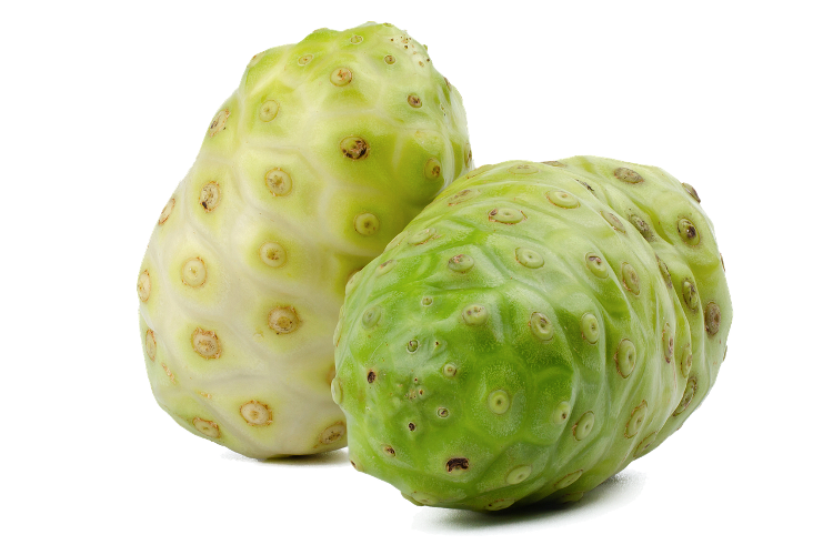 Los beneficios del noni, una fruta medicinal de Asia esVivir