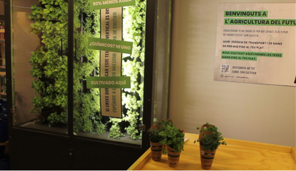 linverd-o-como-volver-a-nuestras-raices-cuando-hacemos-la-compra