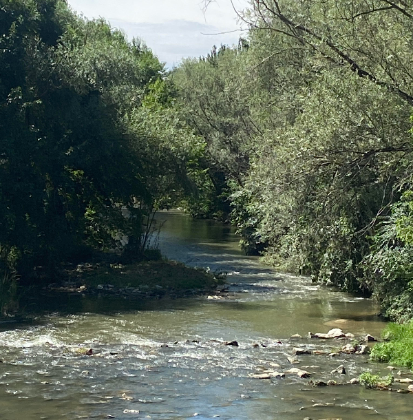 parque-del-manzanares-naturaleza-en-el-centro-de-madrid