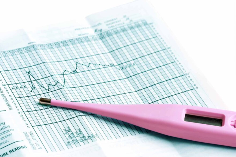 Método sintotérmico: cómo funciona este sistema de planificación ...