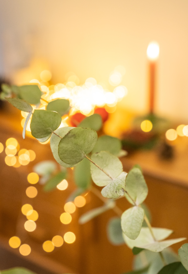 como-deslumbrar-esta-navidad-con-una-mesa-decorada-con-flores