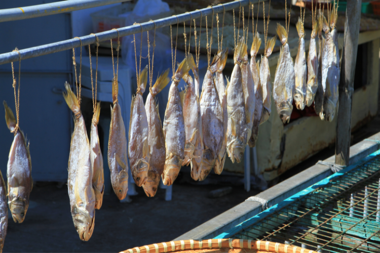 Cómo salar pescado | esVivir Cómo salar pescado | esVivir