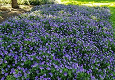 parque-el-capricho-tres-estilos-en-un-solo-jardin