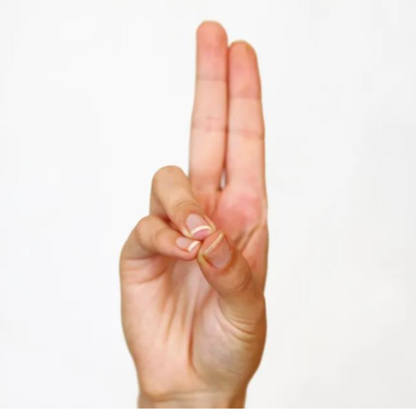 en-que-consiste-el-prana-mudra