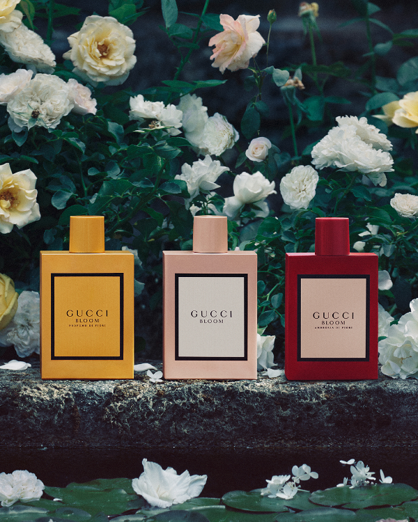 y-tu-que-perfume-gucci-bloom-prefieres