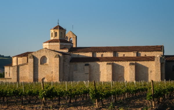 una-habitacion-con-vistas-a-los-vinedos-de-ribera-del-duero