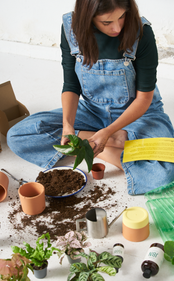 pon-una-miniplanta-en-tu-vida-y-aprende-a-cuidarla