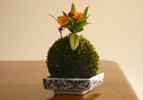 kokedama-el-arte-floral-japones-milenario