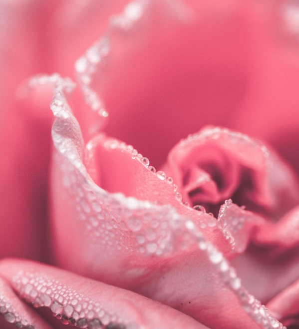 es-bueno-depilarse-el-vello-pubico-por-completo es-bueno-depilarse-el-vello-pubico-por-completo