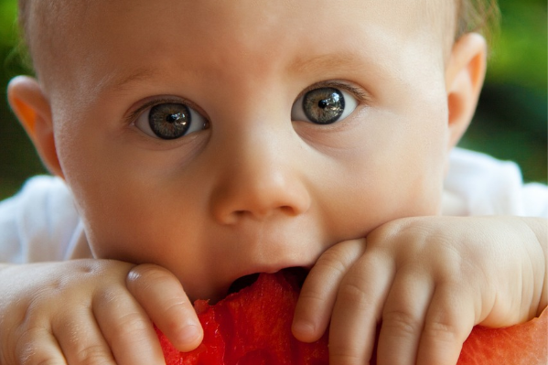 cuando-empezar-con-los-alimentos-solidos-en-los-bebes