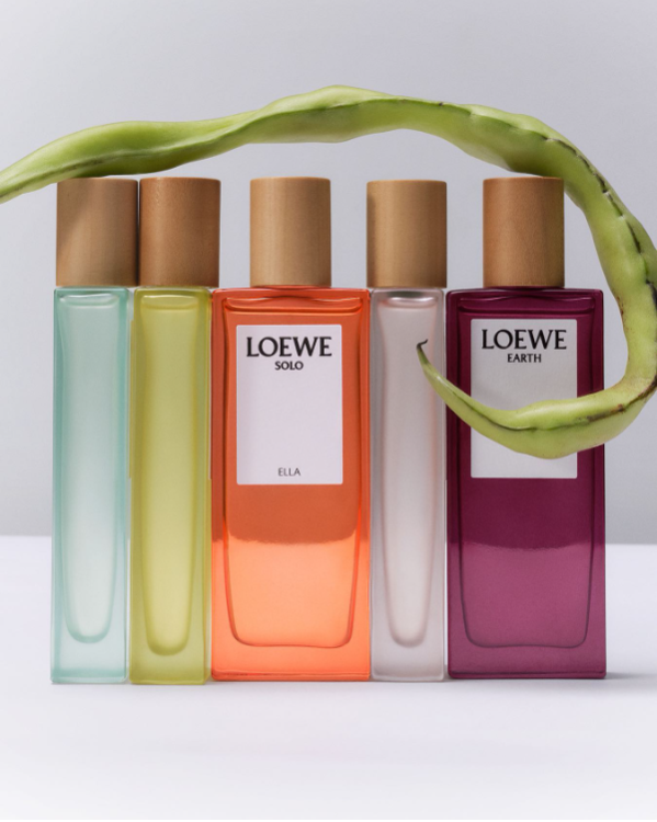 aun-estas-a-tiempo-de-visitar-loewe-greenhoouse-en-barcelona