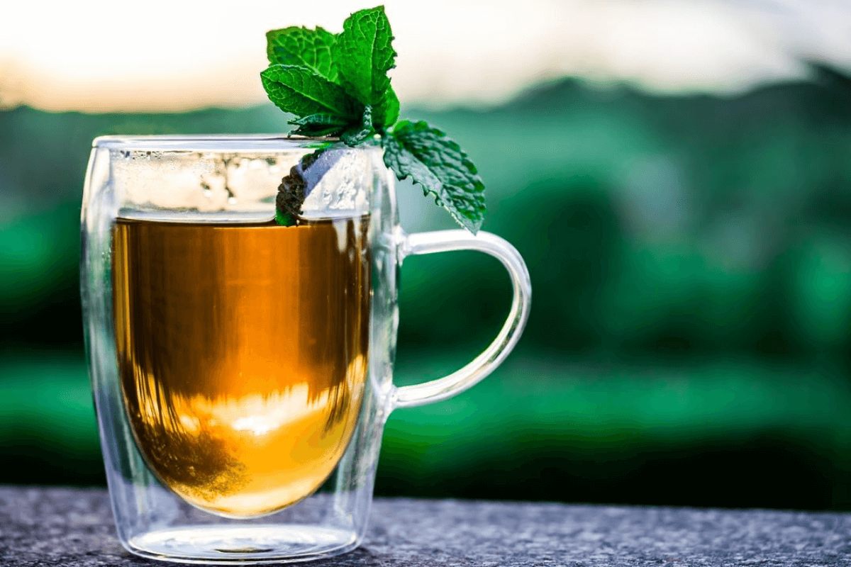 6 bebidas caseras saludables y muy refrescantes esVivir