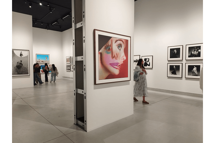 esvivir.com_david_bailey_desafia_23222_04112417.png (750×500)