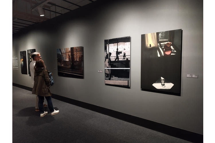 esvivir.com_boris_savelev_divide_23586_27110402.png (750×500)