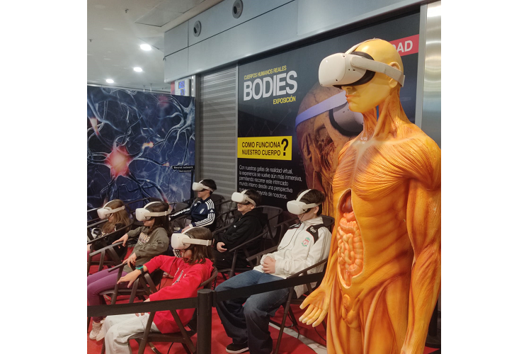 esvivir.com_vision_cuerpo_humano_23616_30121123.png (750×500)